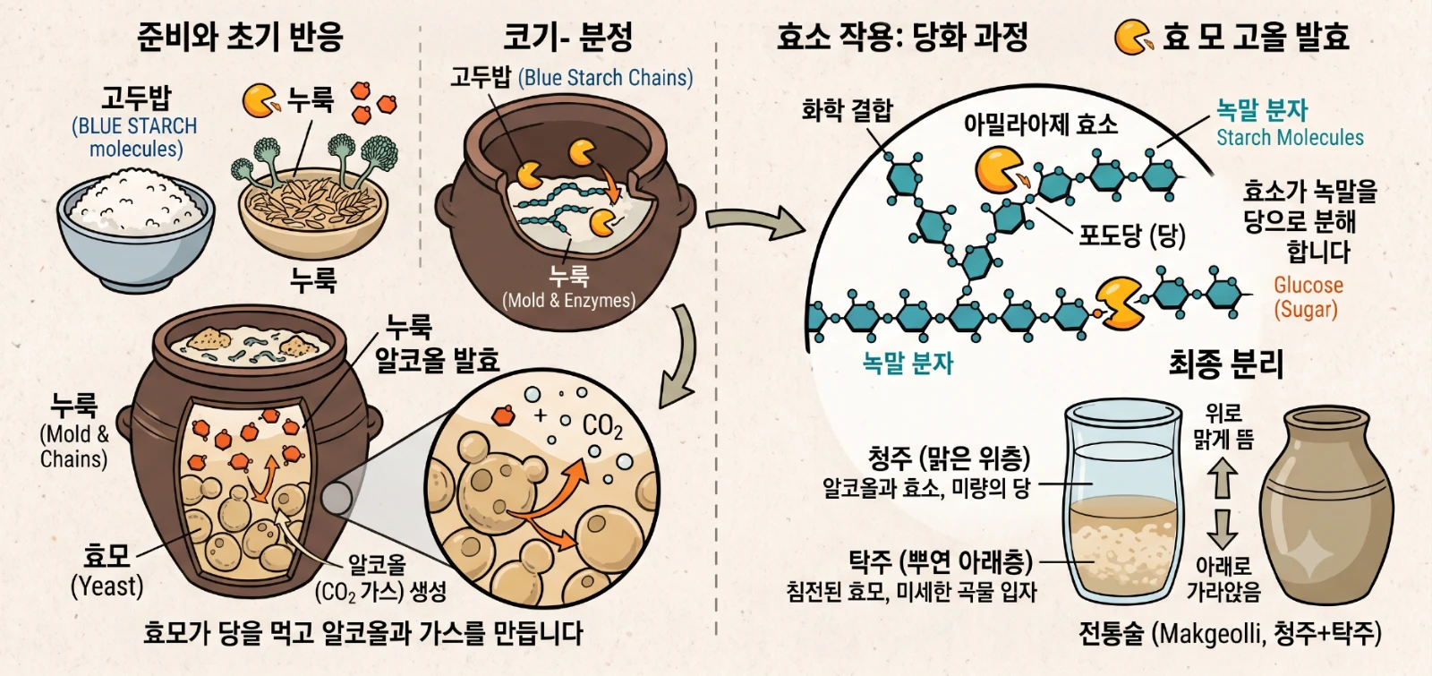 발효