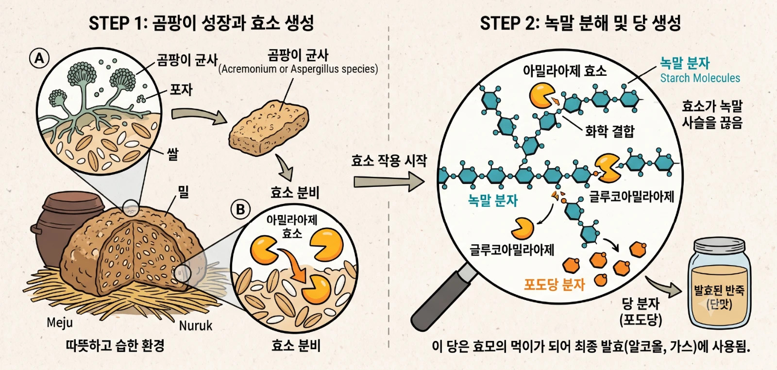 누룩